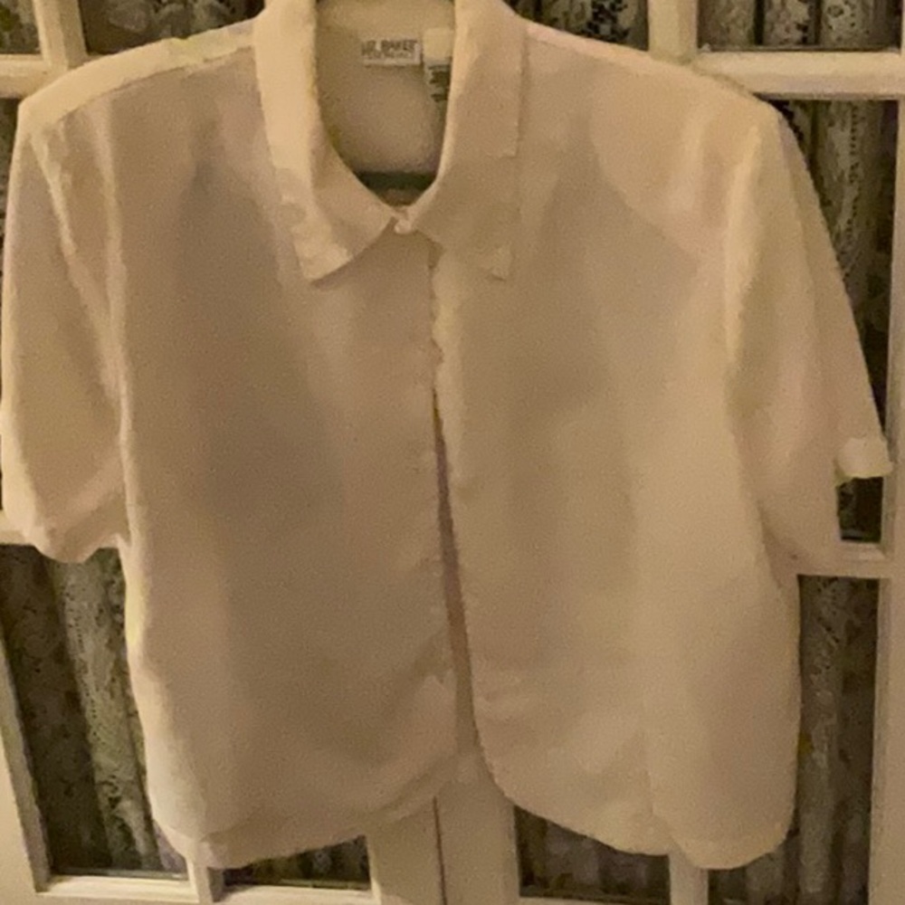 VINTAGE LIZ BAKER TAILORED SHORT SLEEVE BLOUSE SIZE 16